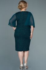 Kısa Kol Simli Midi Büyük Beden Abiye Abk39611 - Görsel 10