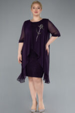 Kısa Kol Üstü Şifon Midi Simli Büyük Beden Abiye ABK39967 - Görsel 9