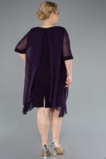 Kısa Kol Üstü Şifon Midi Simli Büyük Beden Abiye ABK39967 - Görsel 10